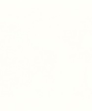 Options Pure White -