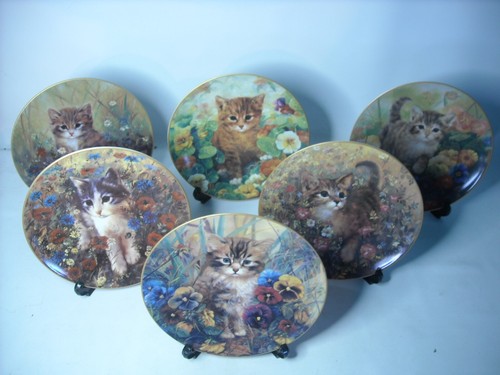 Choice plates kitten - of,