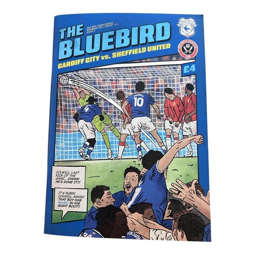 Cardiff city sheffield - cardiff,