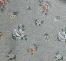  'Evelyn' from the Jenny Wren