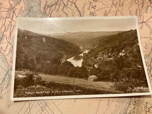 Symonds yat three cointies - symonds,