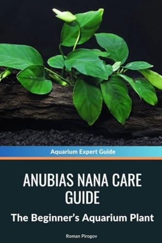 Anubias nana care guide - nana,