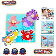 Educational Wooden Peg &