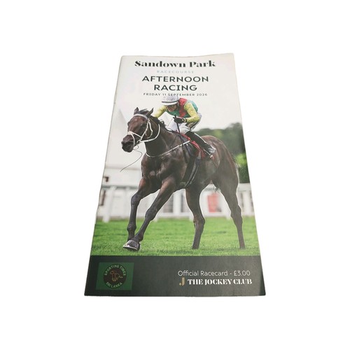 Sandown park horseracing - sandown, park.horseracing