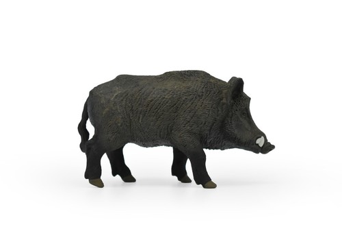 Boar wild animal toy - animal,