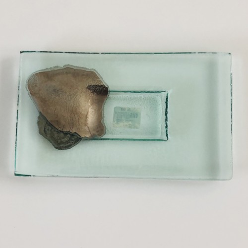 Glass plate tray - plate, rectangle