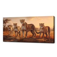 Cheetah Family At Sunset