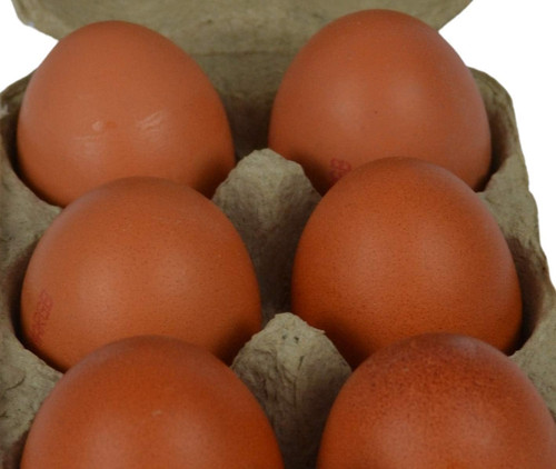 Supa half dozen egg boxes - half, x