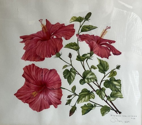 Original watercolour painting - original,