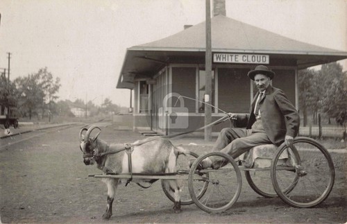 Railroad goat cart - goat, station