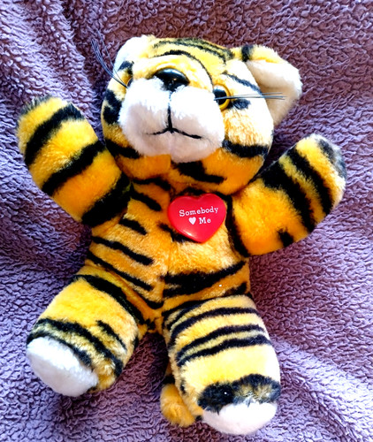 Cute somebody love tiger - somebody, me
