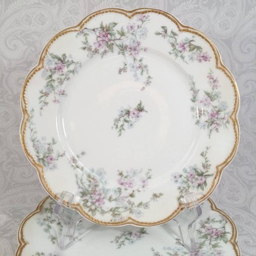Vtg set haviland limoges - vtg,