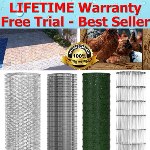 Wire mesh chicken - wire,