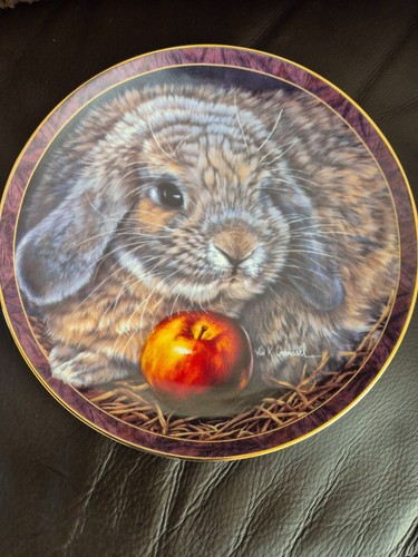 Bunny tales collection by - -,