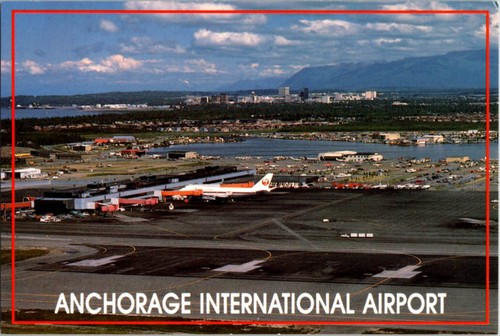 Anchorage postcard bird - postcard, bird's