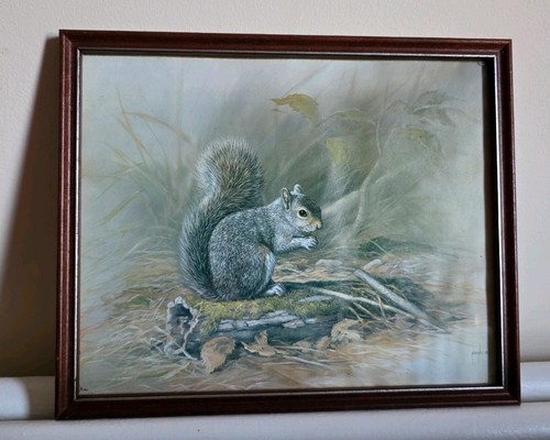 Vintage framed wildlife print - wildlife,