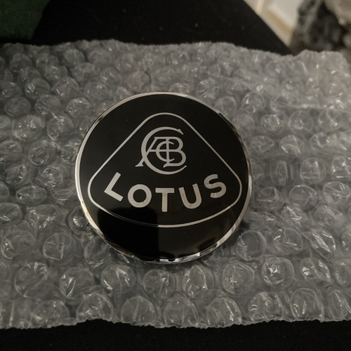 Vintage lotus enamel - lotus, silver