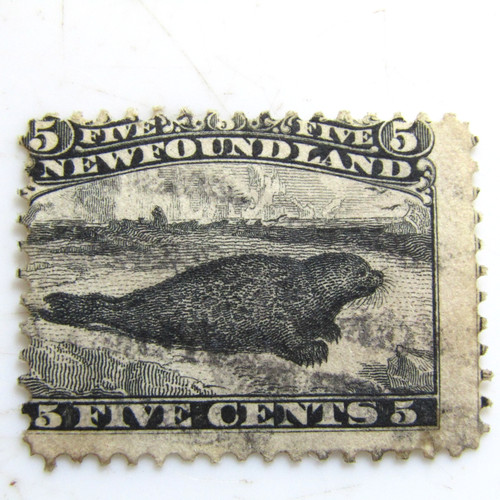 Newfoundland 1868 cent - 1868,