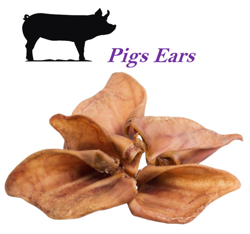 Pigs pig ears - ears, dog