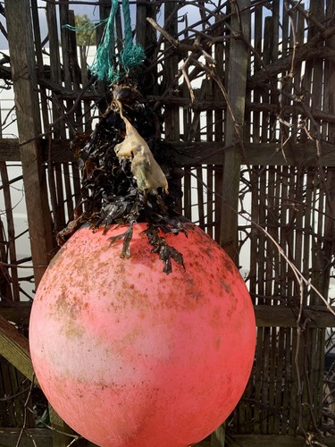 Polyform buoy float - float, marker