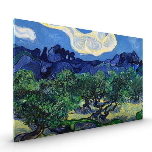 Olive trees van gogh canvas - trees,