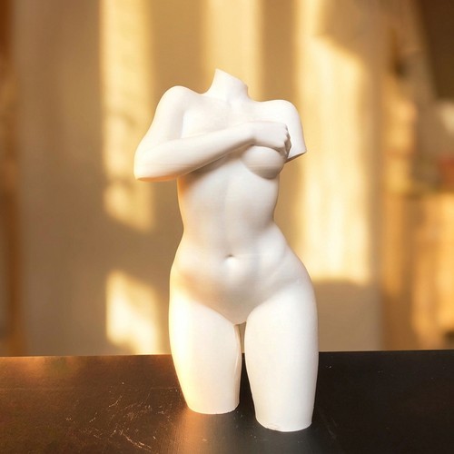 White female torso gypsum - white,