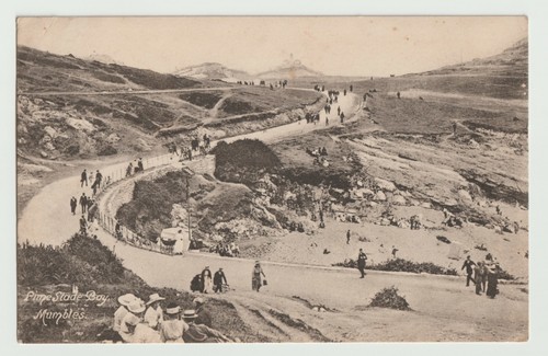 Postcard pine slade - postcard,