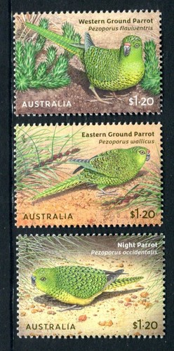 2024 australian ground parrots - 2024,