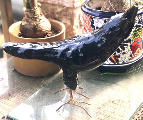 Raven magpie crow bird - crow,