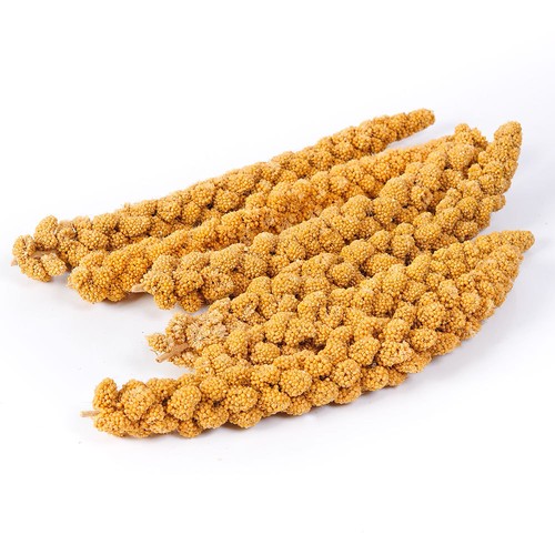 Wild bird millet spray bulk - bird,