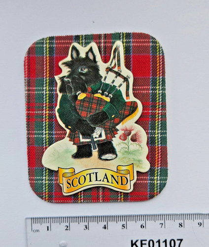 Scottish terrier scotland - scottish,