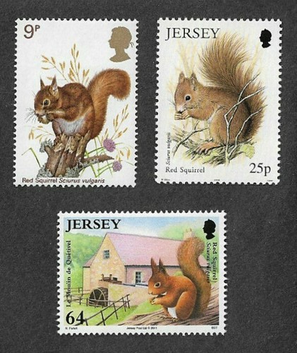 Red squirrels nature wild - squirrels,