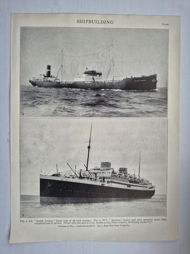 Antique print britannica 1926 - antique,