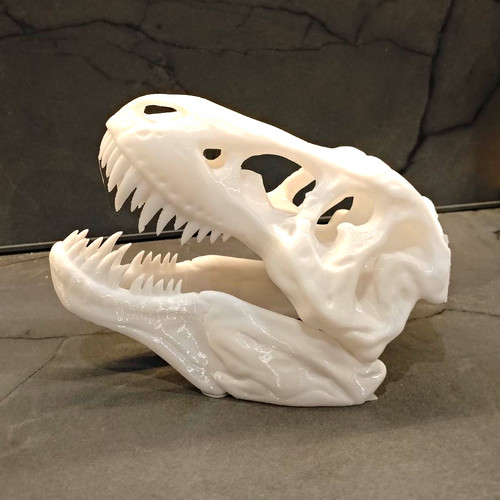 Rex skull reptile - skull,