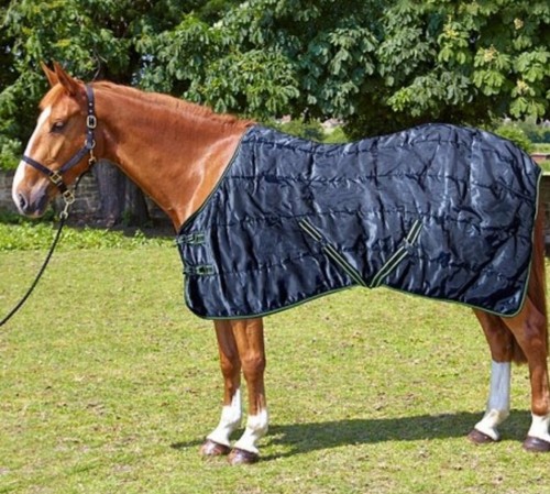 Elico bowmont stable rug - bowmont,