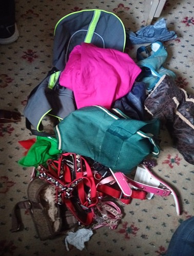 Joblot dog bundle coats - joblot,