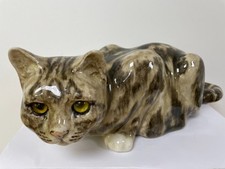 Winstanley grey tabby cat - winstanley,
