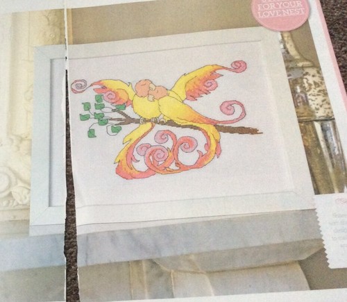 Birds feather lovebird - of,