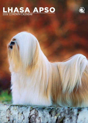2026 lhasa apso calendar - 2026,