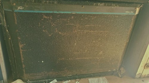 Peavey hisys 15 sub - xt, 2