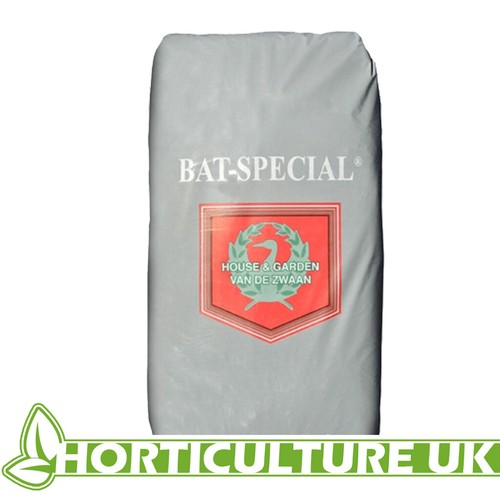 House and garden bat special - garden,
