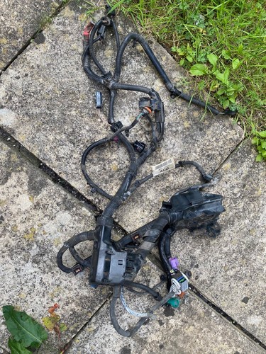 Ford fiesta petrol engine - petrol,
