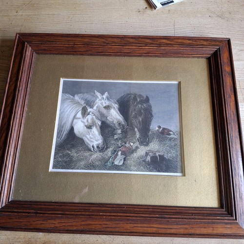 Print etching herring - etching,