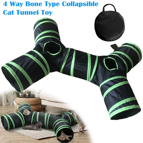 Cat funny tunnel bone type - cat,