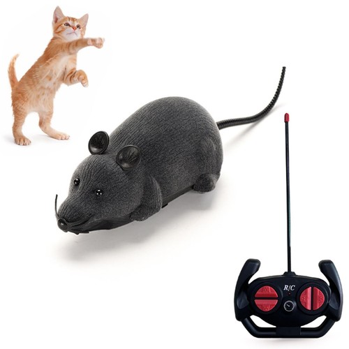 Remote control rat mouse - rat,