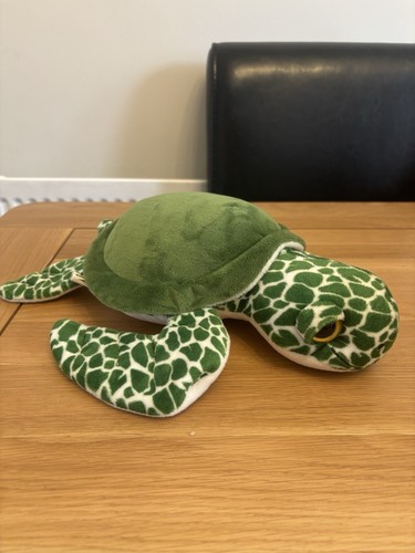 Nature planet green turtle - nature,