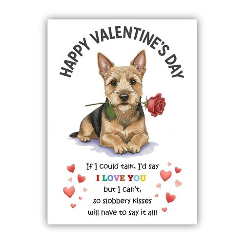 Australian terrier dog - terrier,