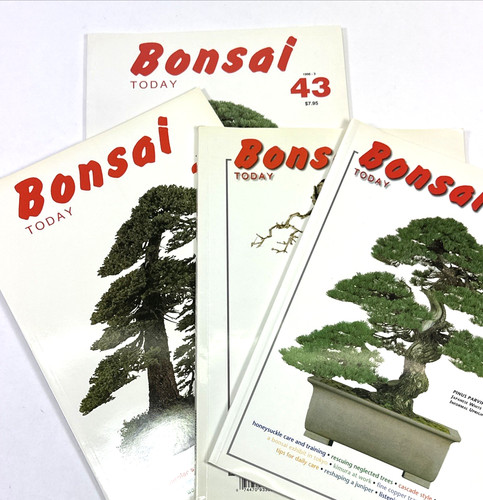 Lot vtg issues - issues, bonsai