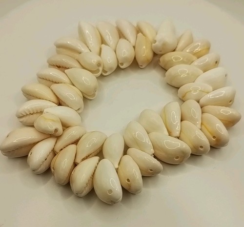 Cowrie shell stretch fashion - stretch,