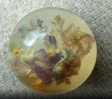 PERSPEX DOME DRIED FLOWER